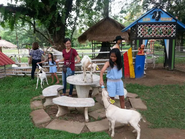carousel image 5