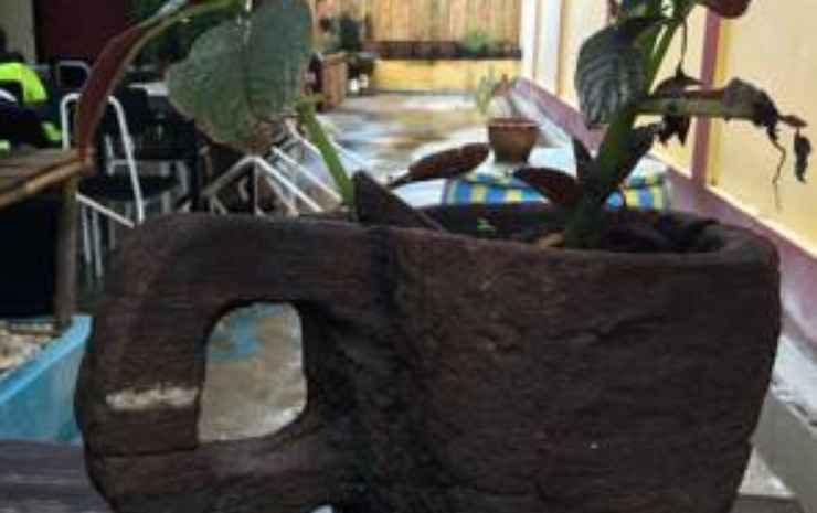 Чиангмай: Siam Hostel Chiang Mai