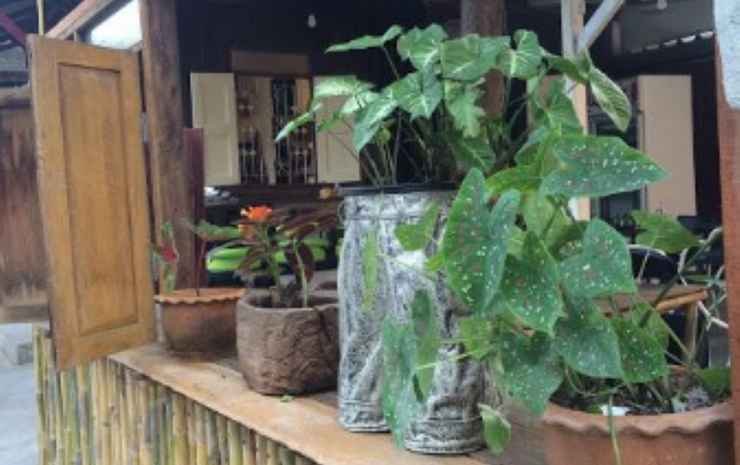Чиангмай: Siam Hostel Chiang Mai