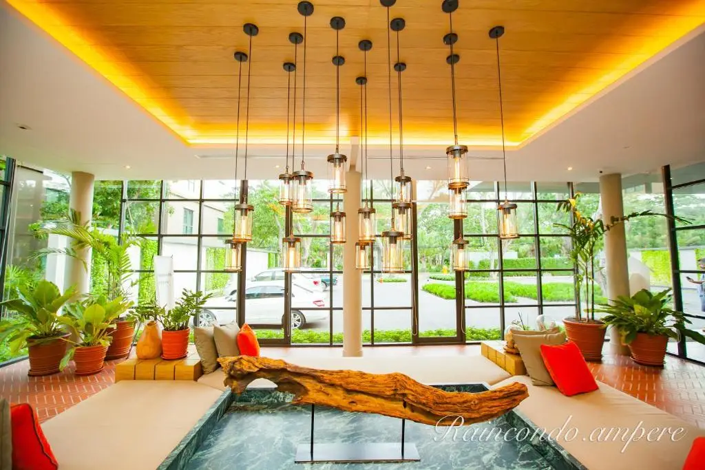 Чаам: Raincondo Ampere