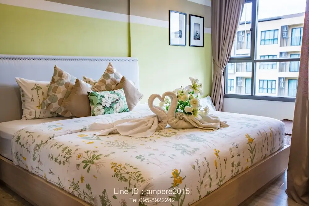 Чаам: Raincondo Ampere