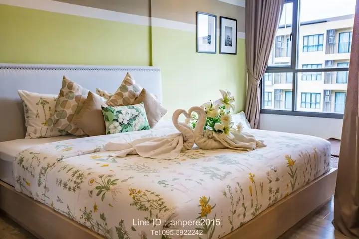 Чаам: Raincondo Ampere