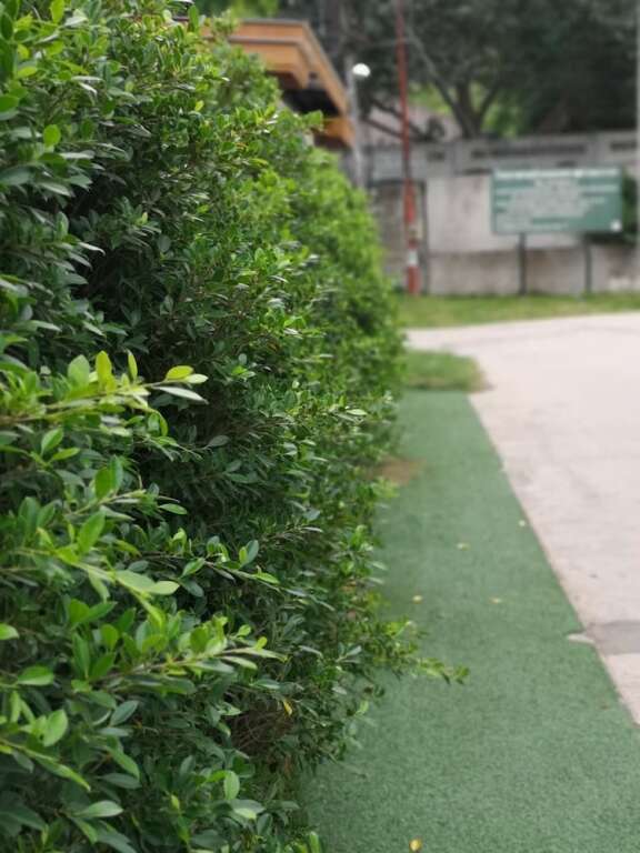 Остров Тау: Aiya Resort Koh Tao