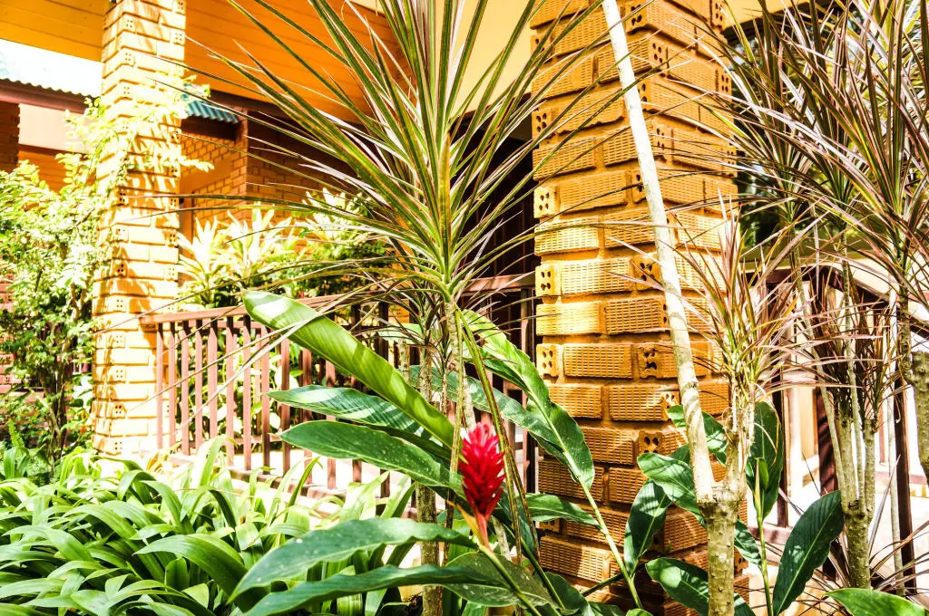Тхаланг: Tanamas House