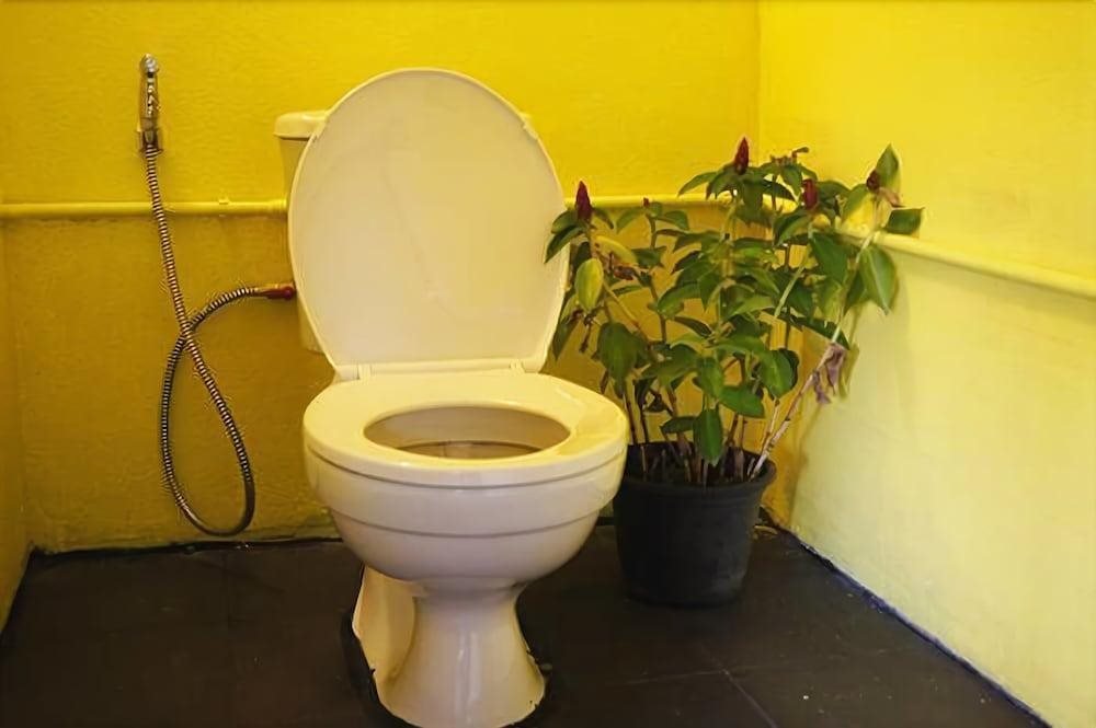 Као Лак: Dorm Des Fleurs Hostel