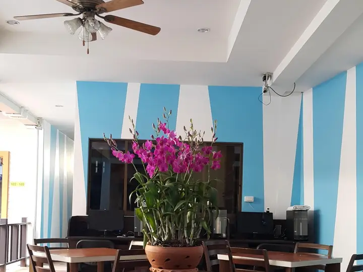 Кату: MT Hotel Patong
