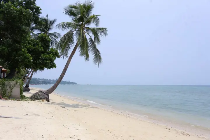 Самуи: Pao Jin Poon Beach Front Villa