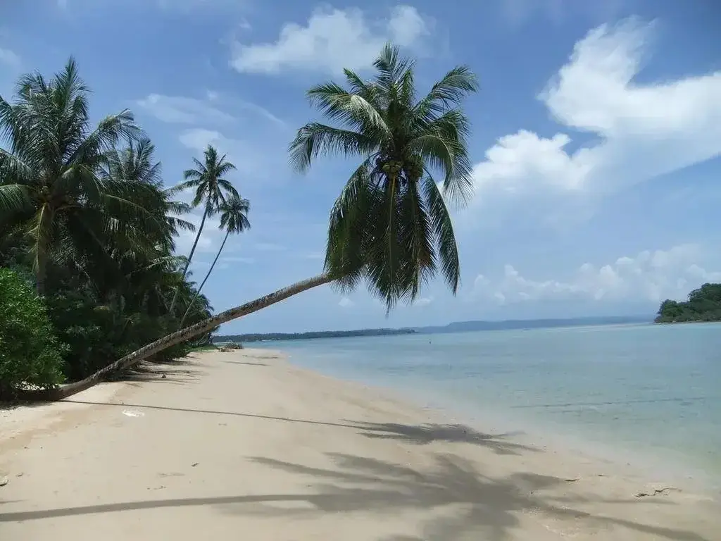 Ко-Мак: Coconut Villa