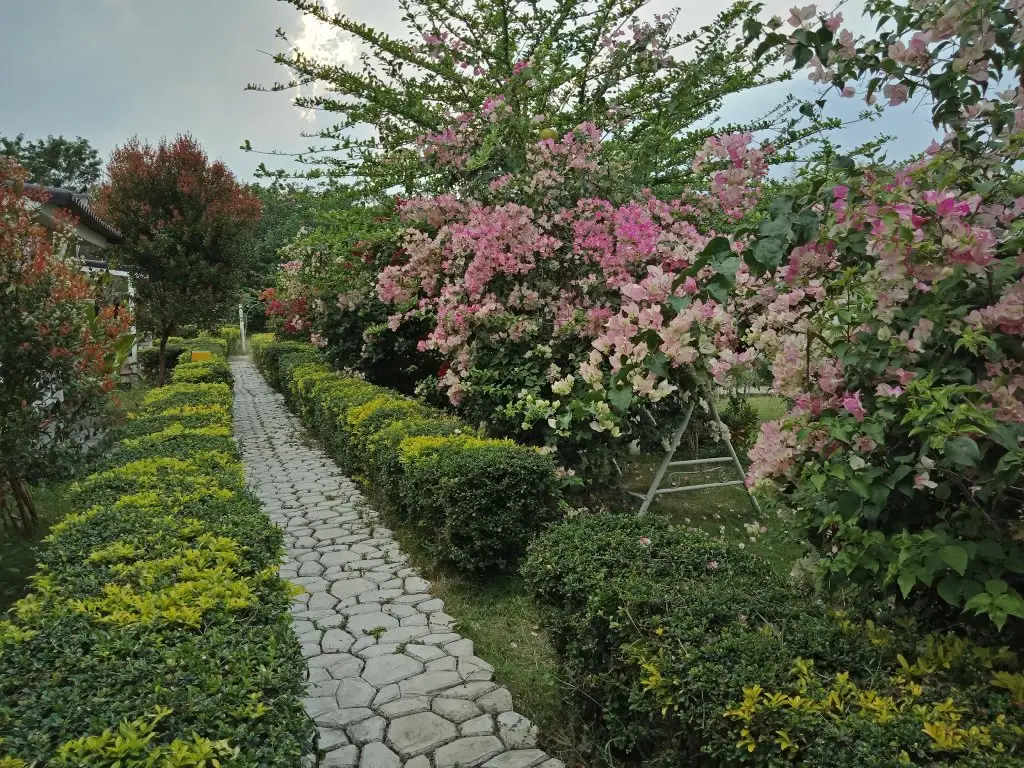 Пак-Чонг: Les Collines Resort
