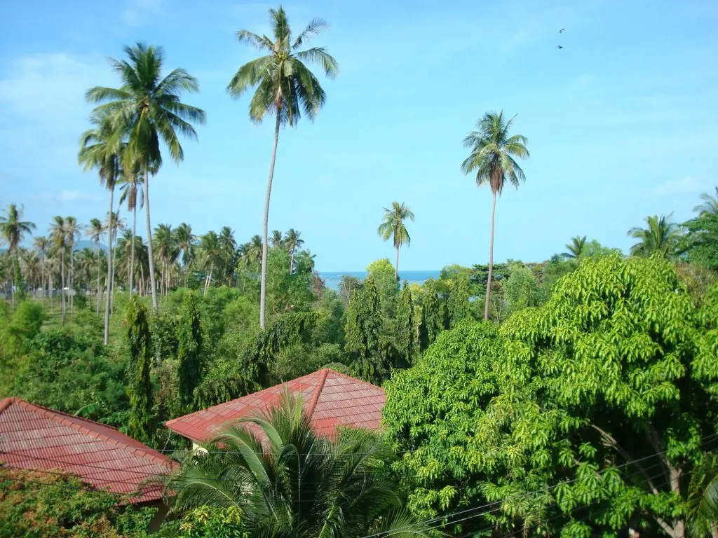 Самуи: Samui Natien Village