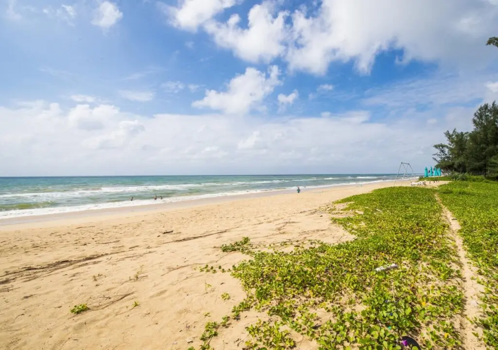 Такуа-Тунг: Le Coral Beach Resort and Cafe