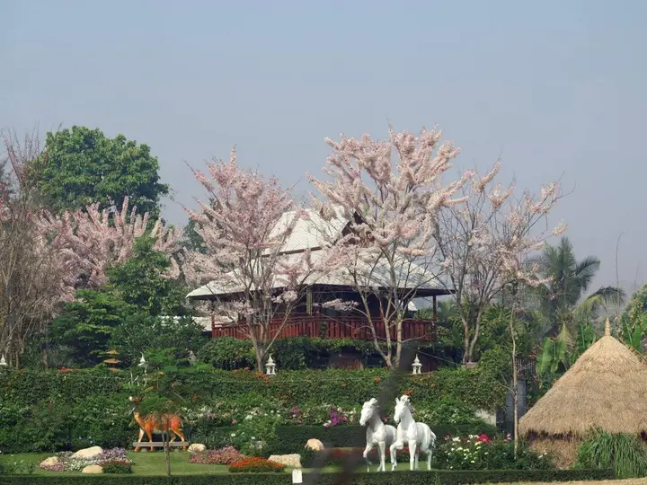 carousel image 1
