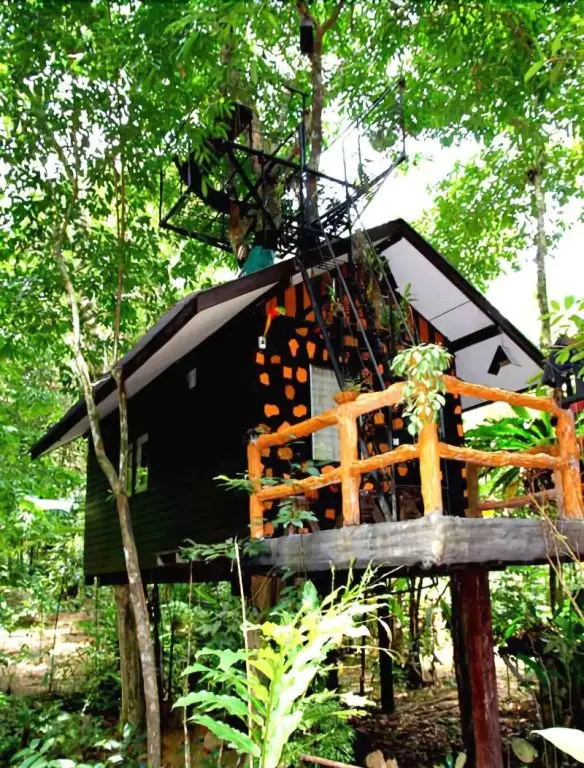 Фаном: Khaosok Treehouse Resort