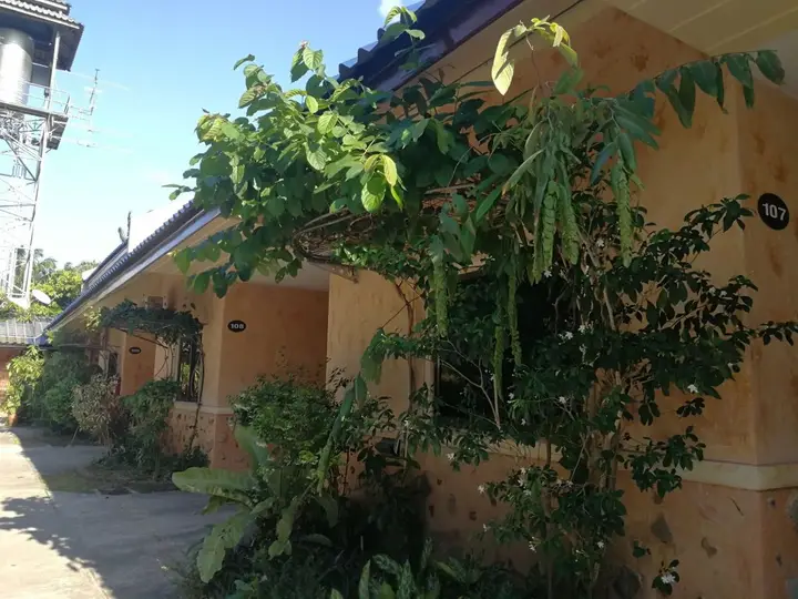 Хатъяй: Palm Chalet Resort
