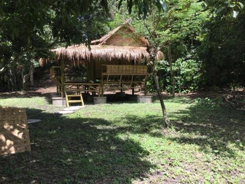 Мае-Таенг: Cool Bananas Homestay