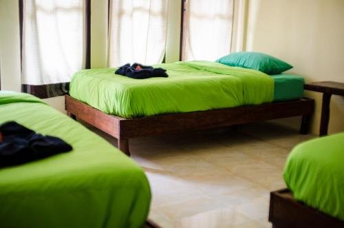 Сураттхани: Coco Khao Sok Hostel