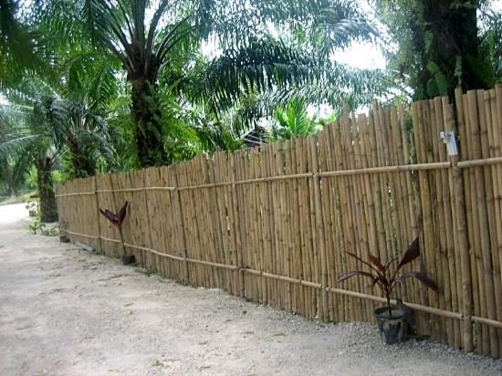 Краби: The S.K.Y Resort