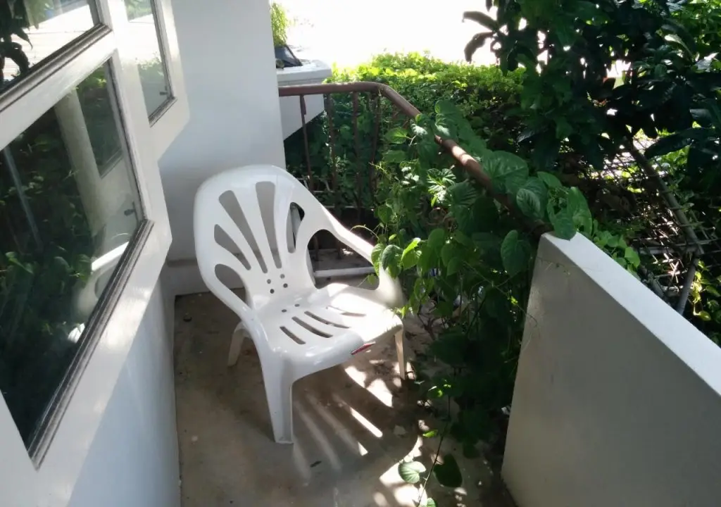 Бангкок: Big Mango Tree