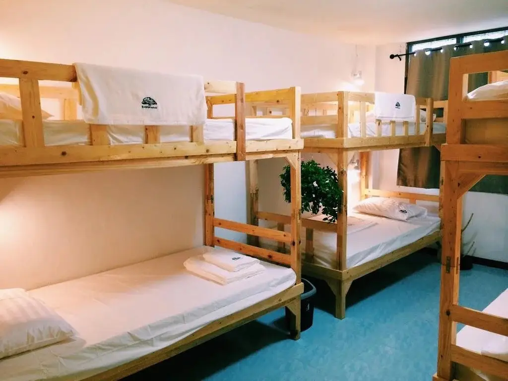 Бангкок: Tree Hostel Bangkok