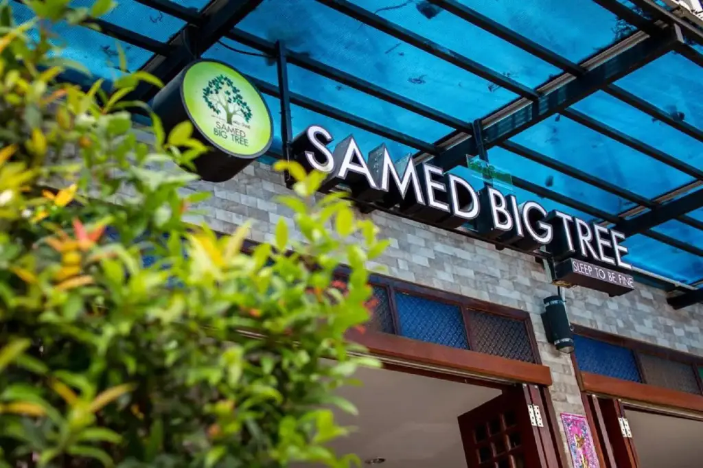 Samed Big Tree — фото 1