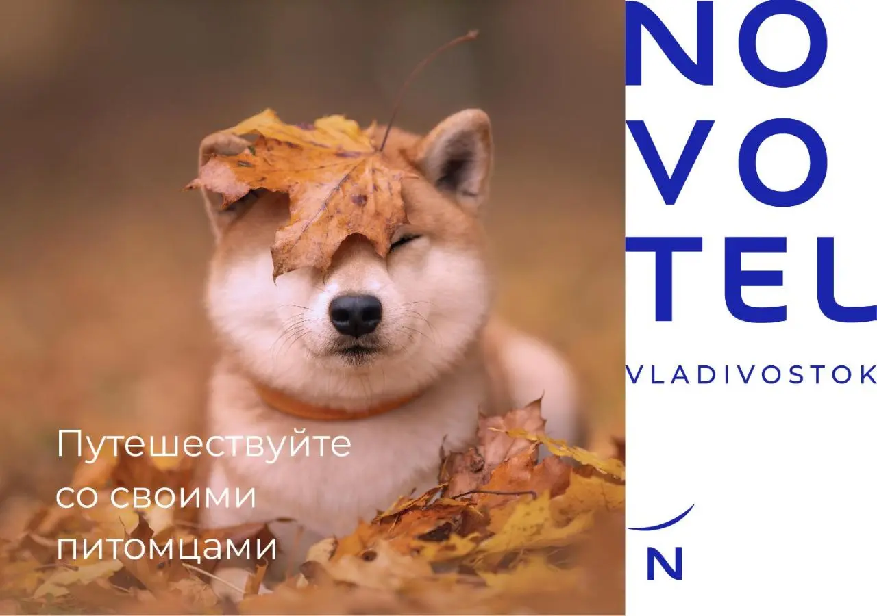 Владивосток: Novotel Владивосток
