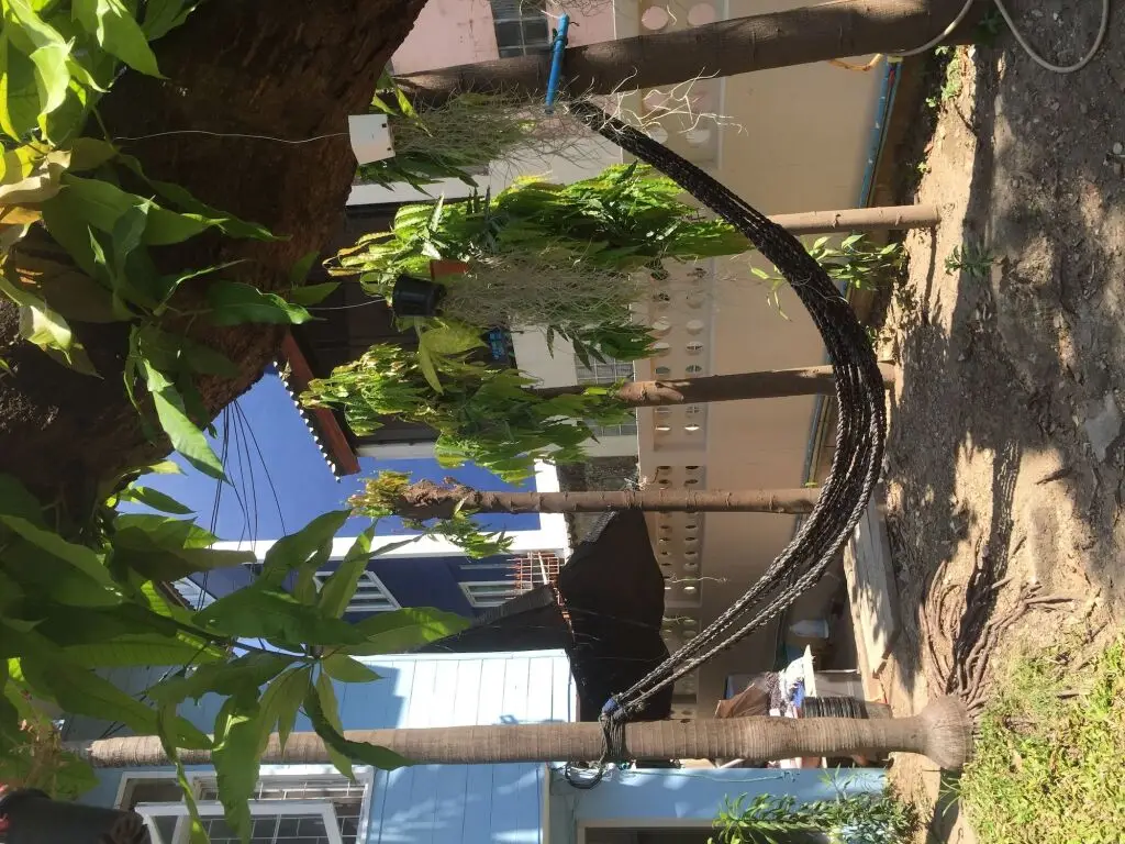 Чиангмай: Chongrak Guesthouse