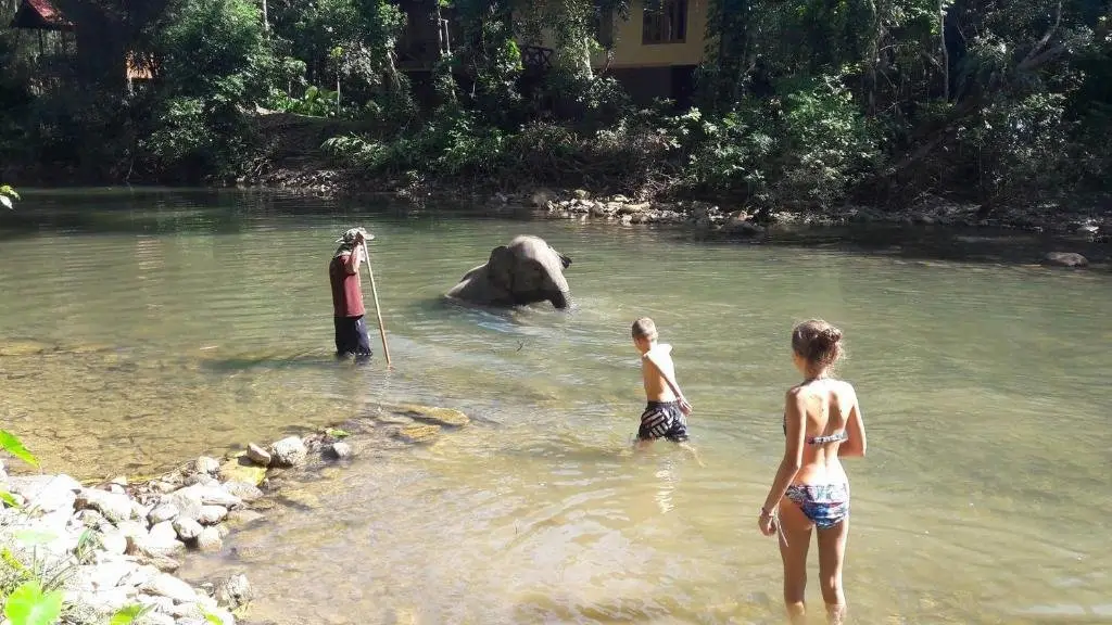 Фаном: Khao Sok Holiday Resort