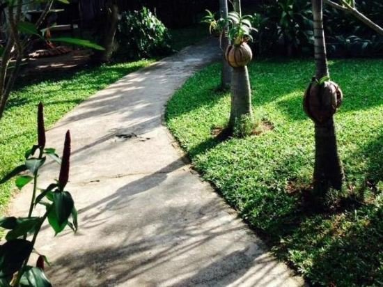 Самуи: Plai Leam Buri Resort