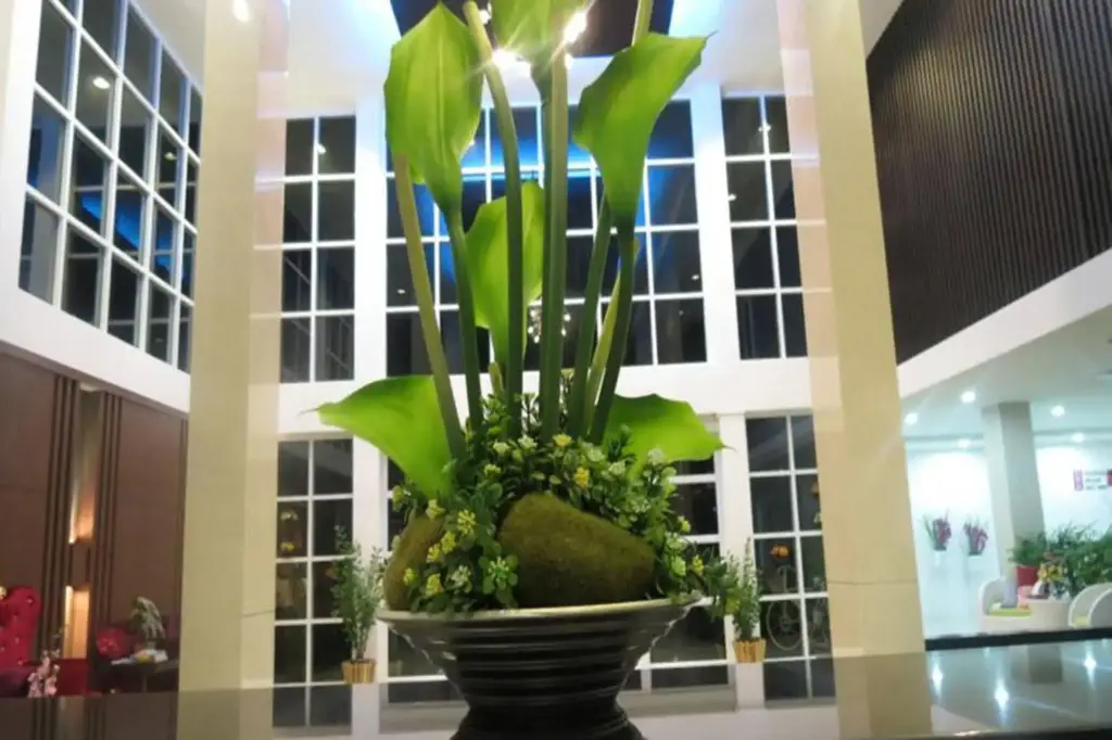 The Zara Double Tree Hotel — фото 1