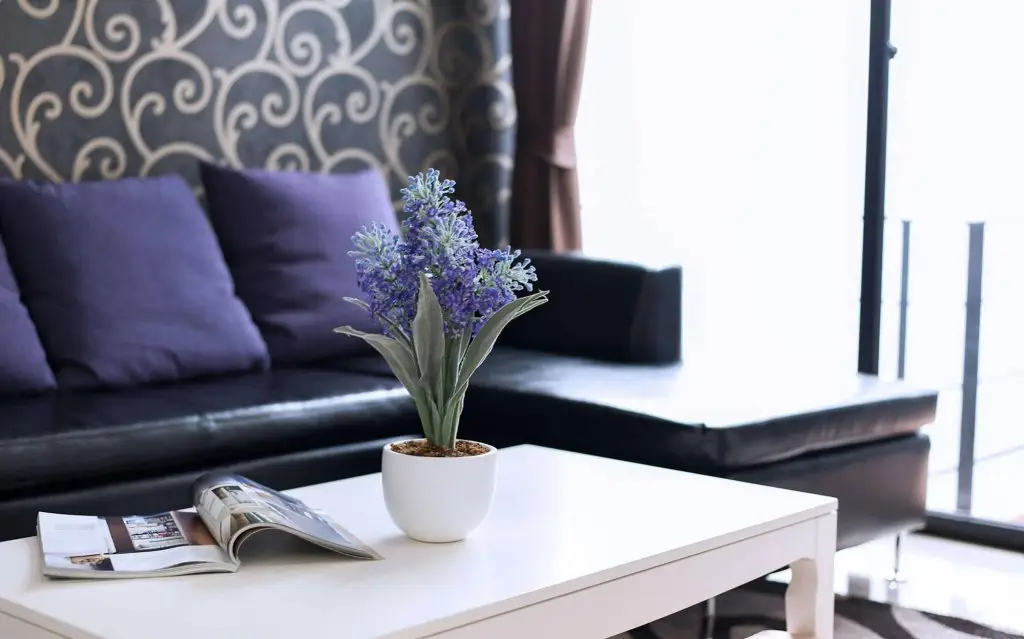 Паттайя: Vantage Resort