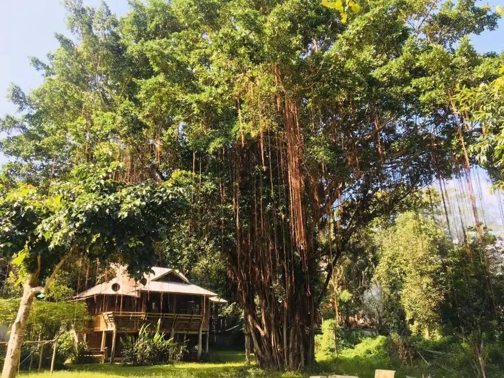 Паи: Golden Hut -Chill Bungalows in town黄金泰式传统独栋小屋