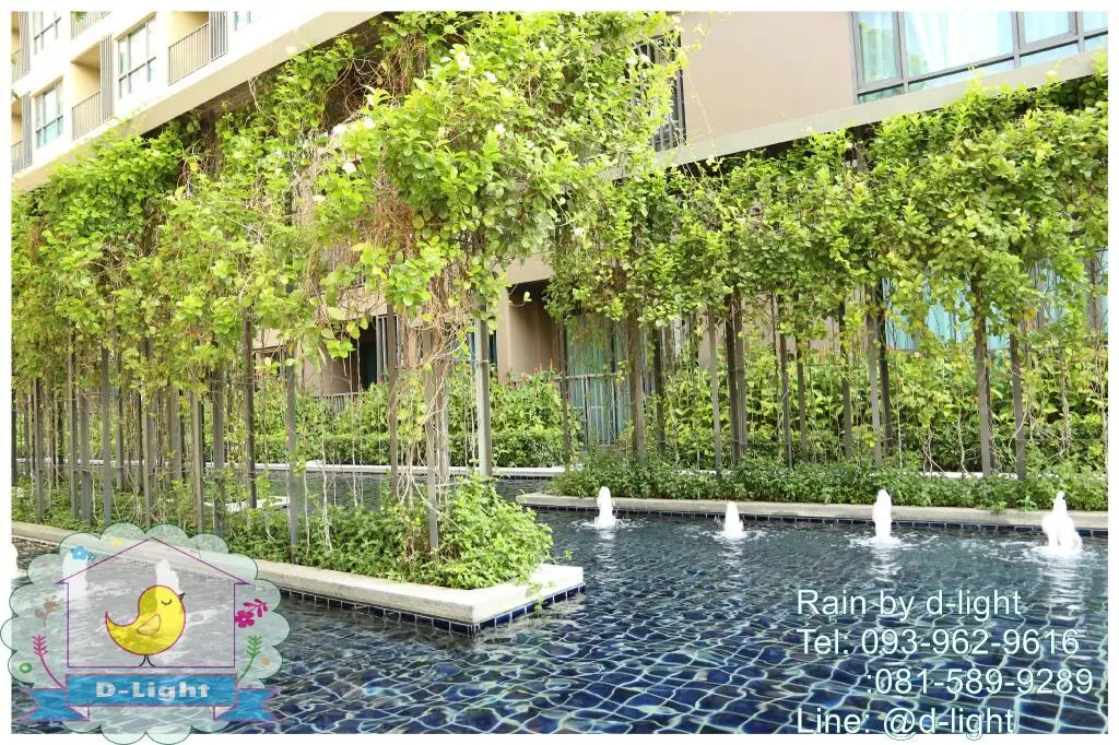 Чаам: Rain Cha-Am Hua Hin by D-light