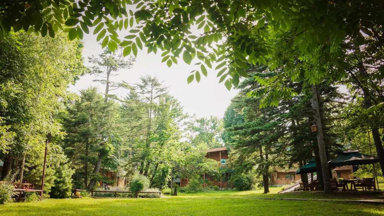 Владивосток: Дача Dacha
