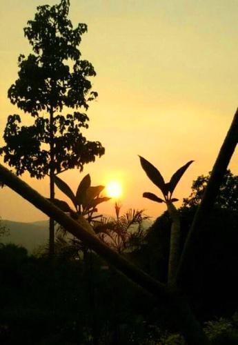 Маерим: One@Nature, Mae Rim