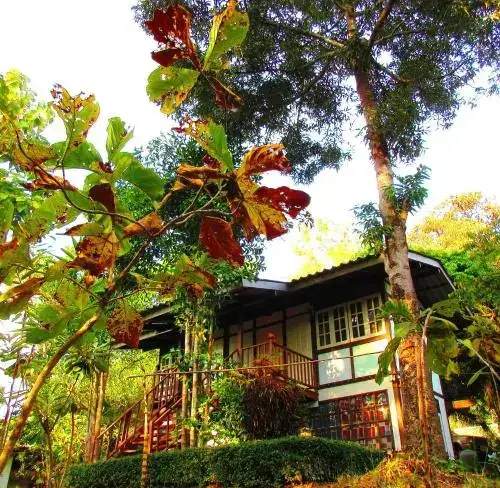 Маерим: One@Nature, Mae Rim
