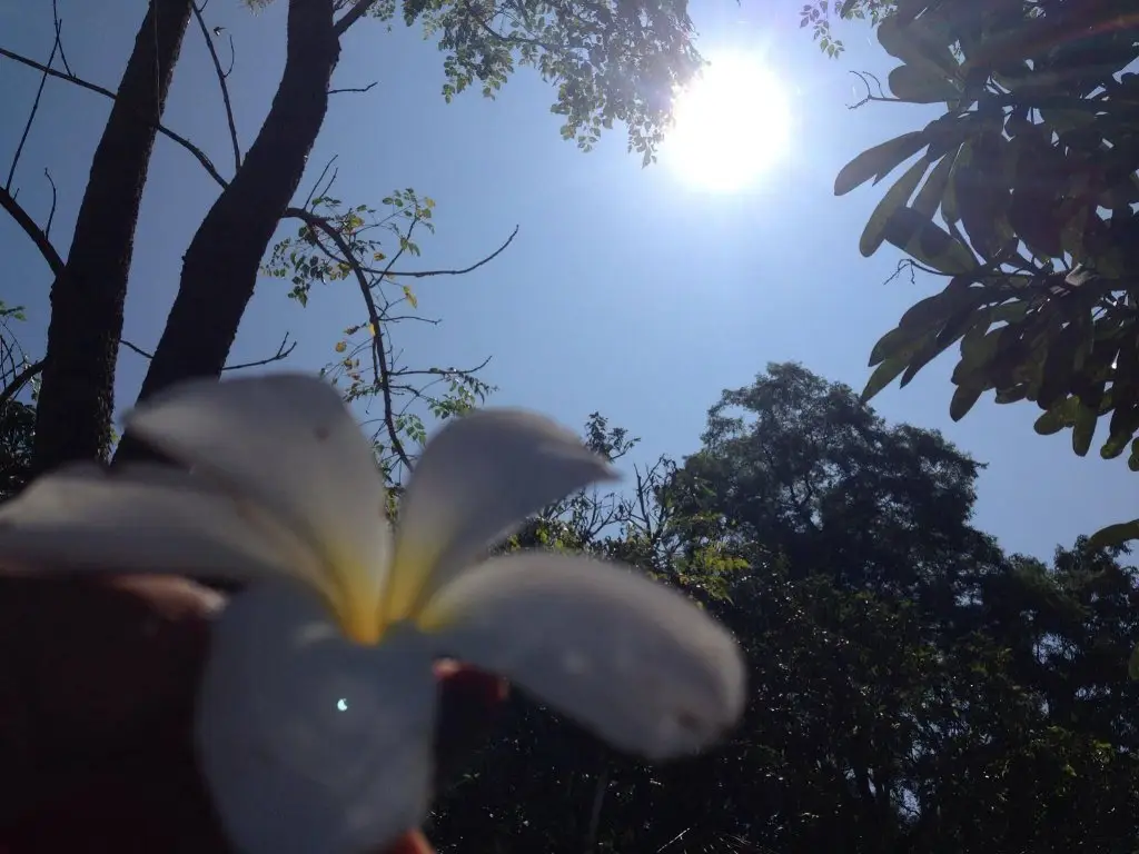 Паи: Kod-Pai Guest House