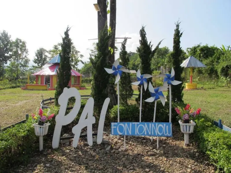 Паи: Paifon Tonnow