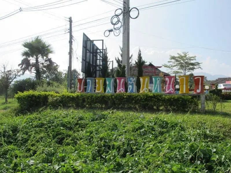 Паи: Paifon Tonnow