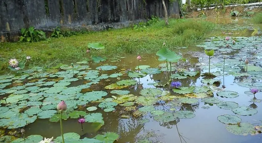 Тхаланг: Phuphasrirung Resort