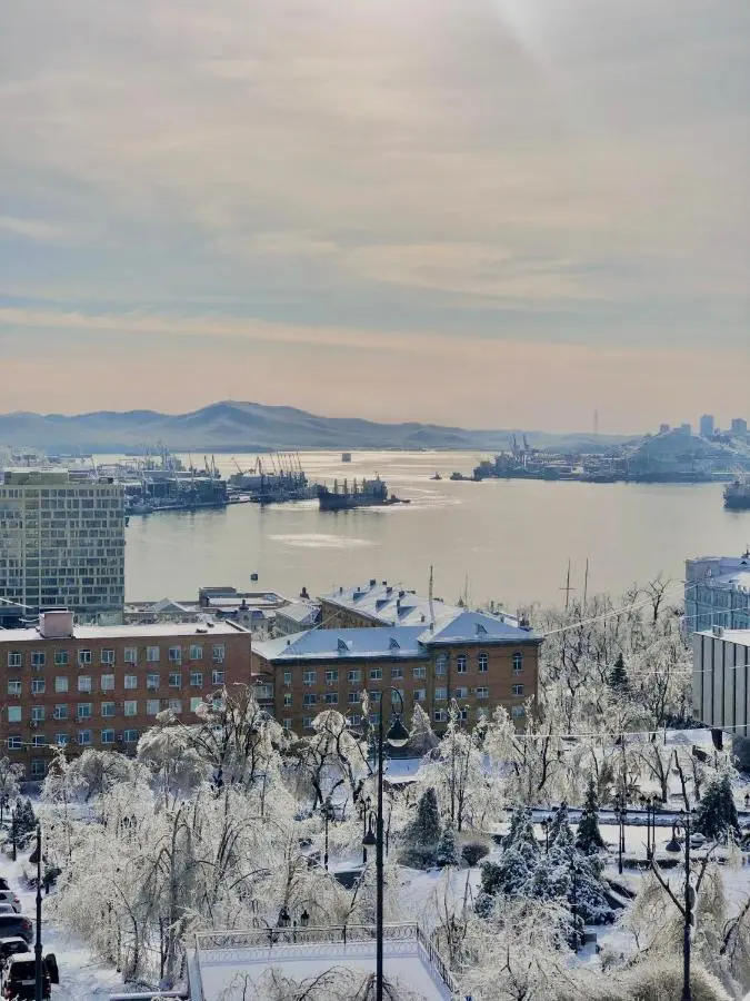 Владивосток: Golden Bridge View Apt