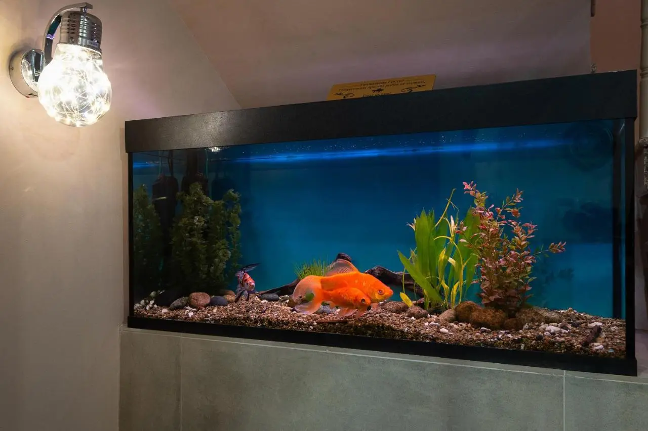 Владивосток: One Sea Boutique Apartment