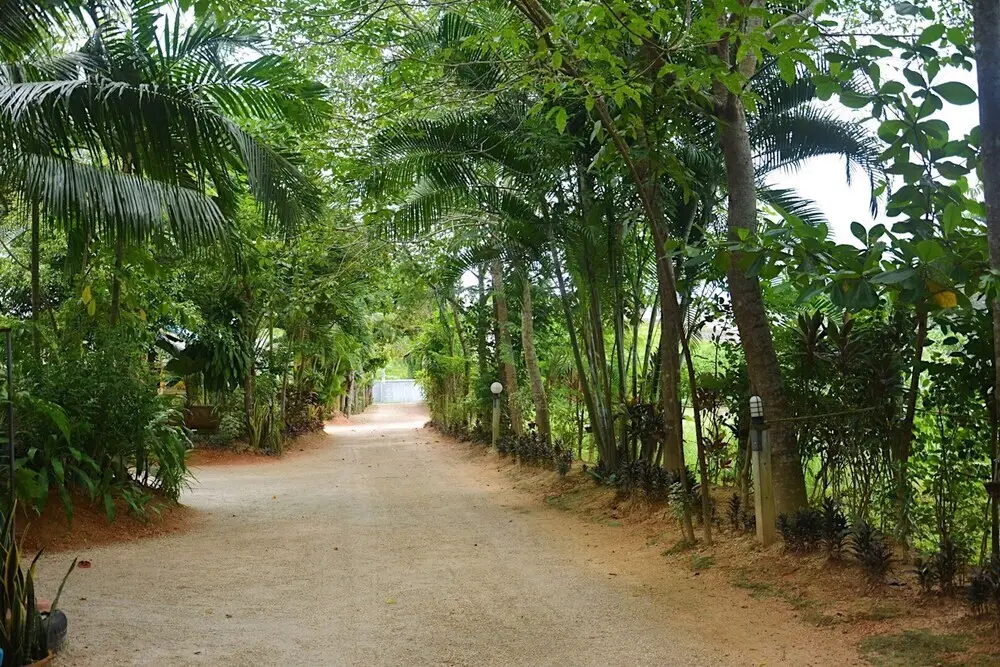 Хатъяй: Pararim Resort