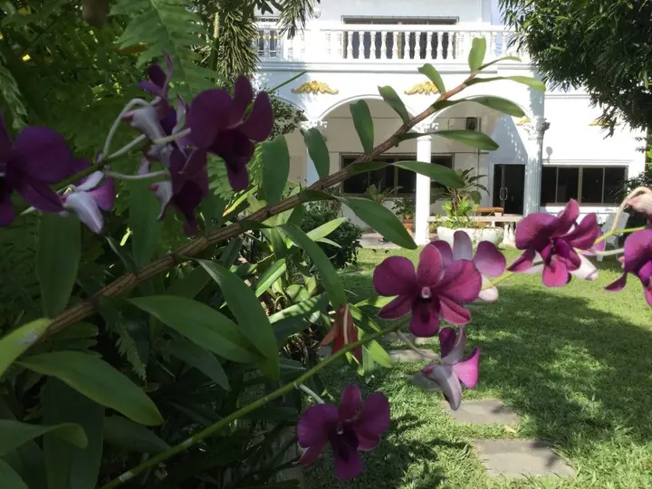 Сурин: White Elephant Resort