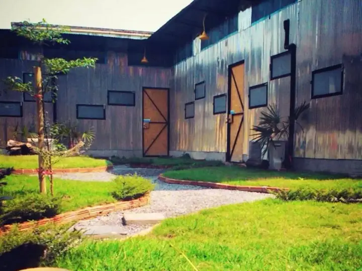 Чиангмай: Viva Shack