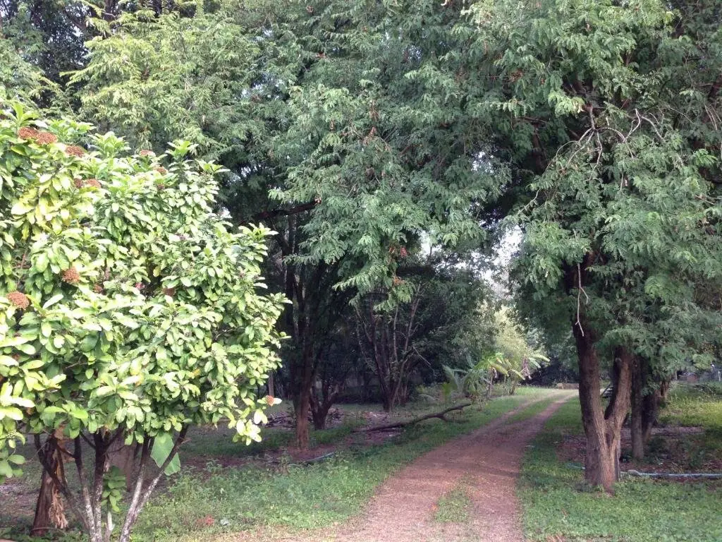 Араньяпратхет: Chaisuk Bungalow