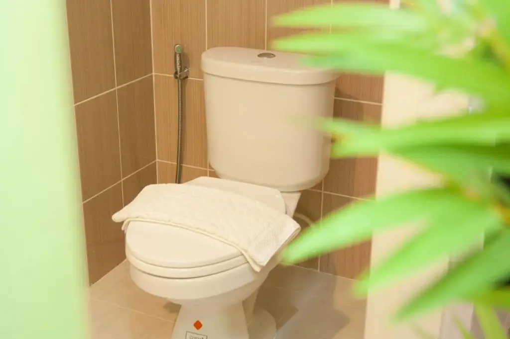 Краби: Mom House