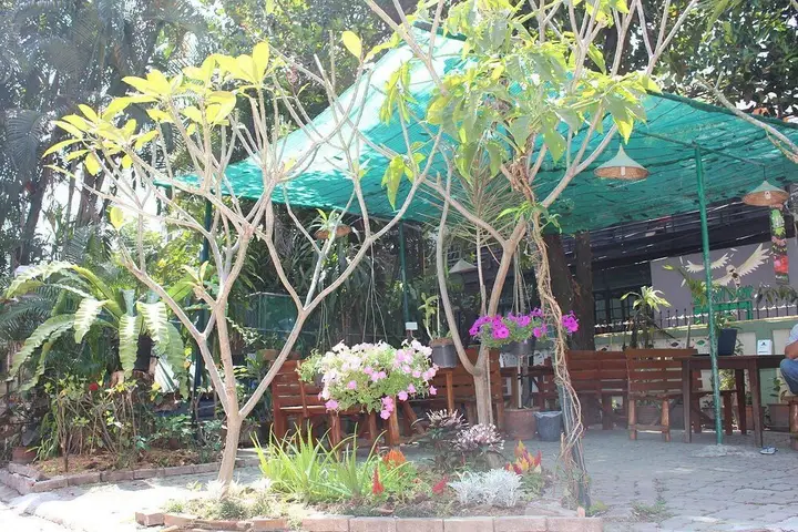 Чиангмай: Jungala House