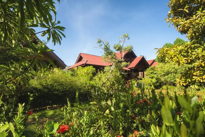 Ко-Пханган: Aliyah Garden House