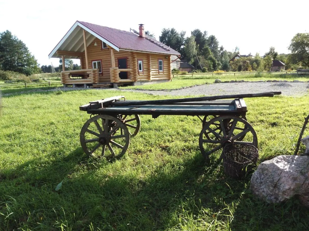 Пушкинские горы: Коттедж в Кириллово