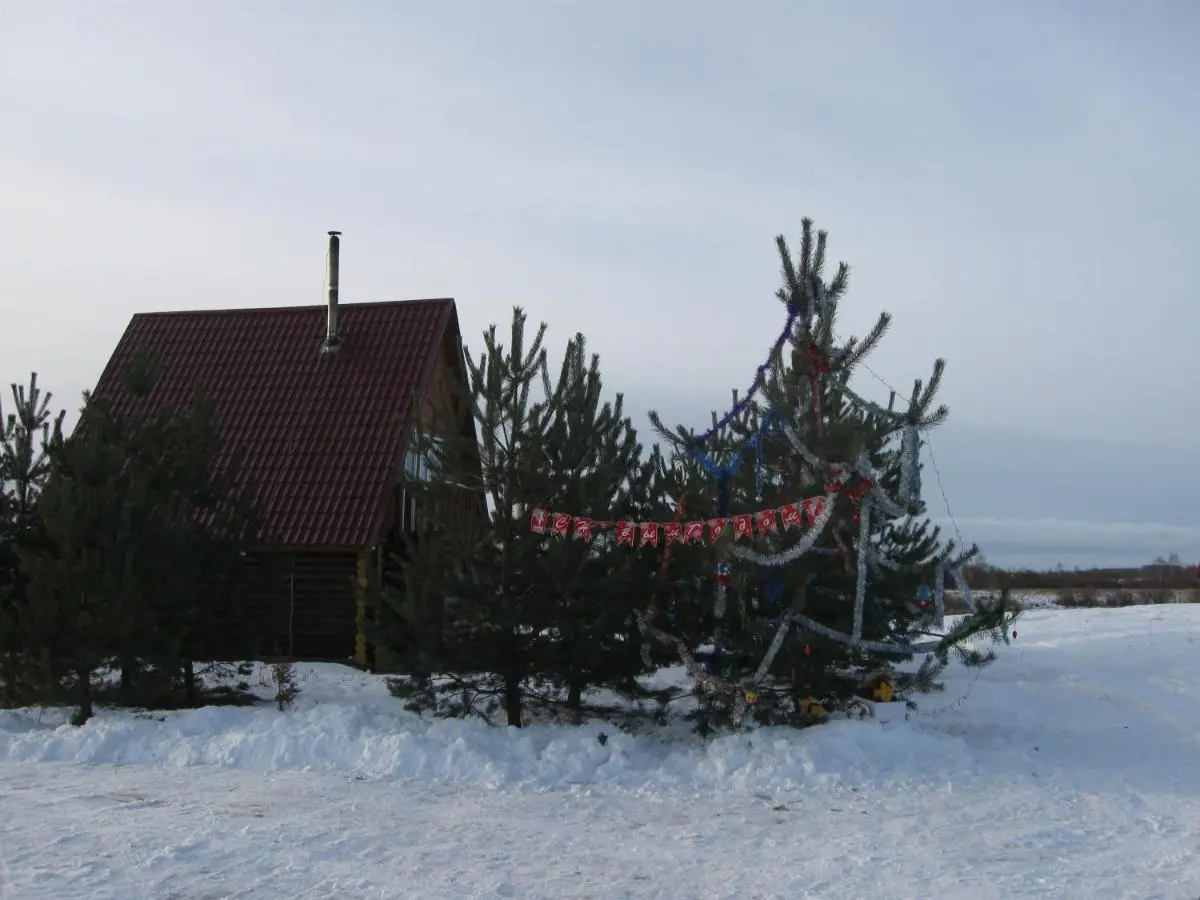Остров: Загородный дом Рублёво